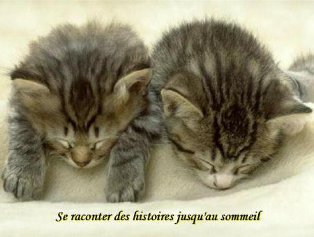 c'est tous mignon, tous beau